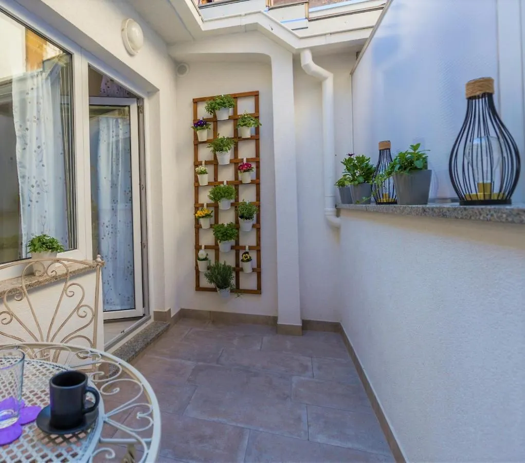 Apartment Lacea Pola 0*,